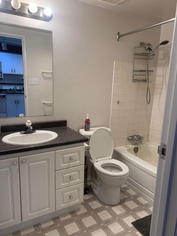 Bathroom Reno