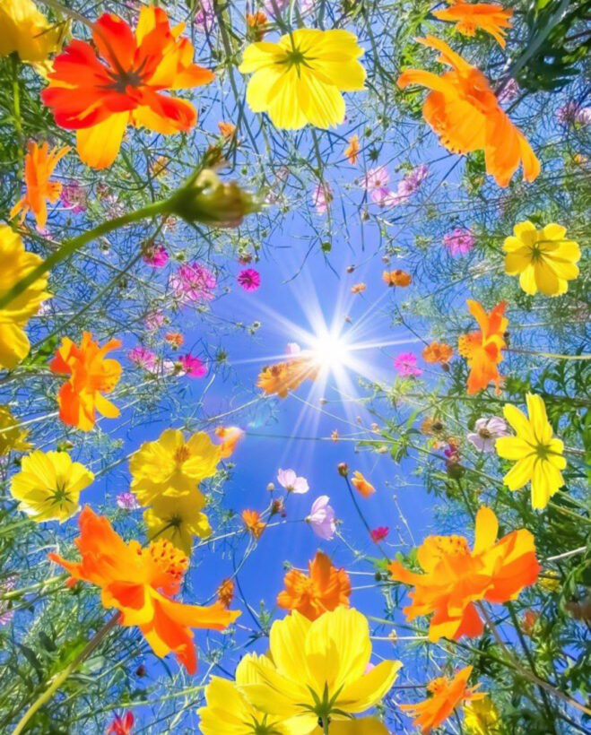 Spring is here!!